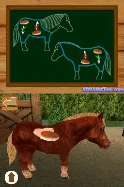 Image n° 3 - screenshots : My Pet Pony